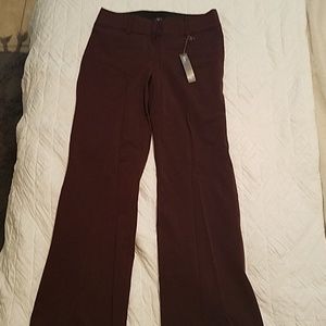 Ann Taylor LOFT Julie Trouser Curvy
